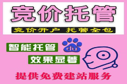 电影宣传的SEM推广策略：成功案例分享